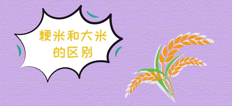 粳米和大米的區(qū)別
