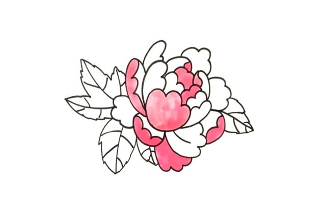 牡丹花簡筆畫教程圖片