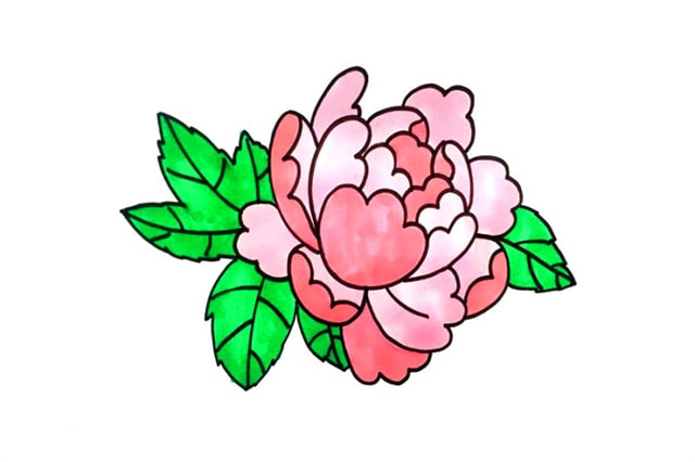 牡丹花簡筆畫教程圖片