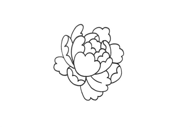 牡丹花簡筆畫教程圖片