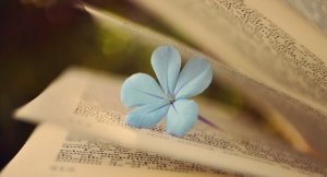 十部?jī)?yōu)質(zhì)好看的短篇小說推薦