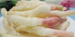孕婦能吃嫩姜嗎