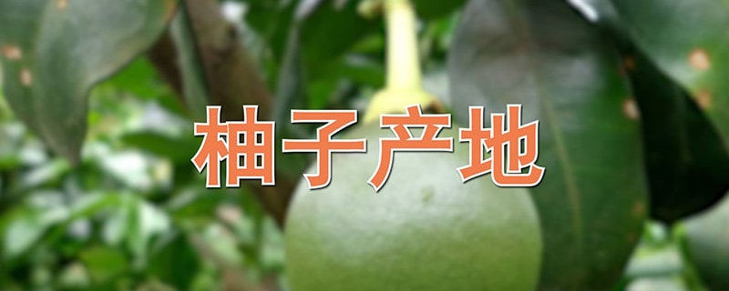 柚子產(chǎn)地
