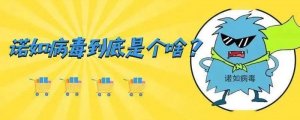 諾如病毒是什么？幼兒園防控諾如病毒知識(shí)
