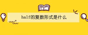 half的復數(shù)形式是什么