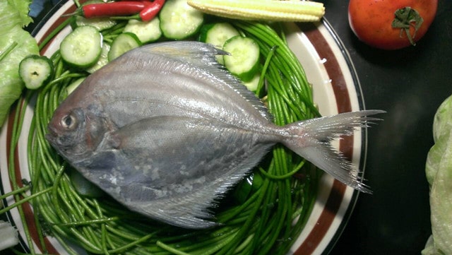 黑鯧魚的功效與作用