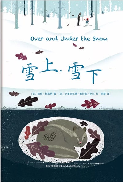 關(guān)于冬天的雪高顏值繪本推薦