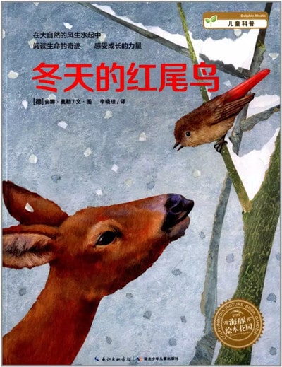 關(guān)于冬天的雪高顏值繪本推薦