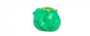 蔬菜簡(jiǎn)筆畫(huà)卷心菜怎么畫(huà)