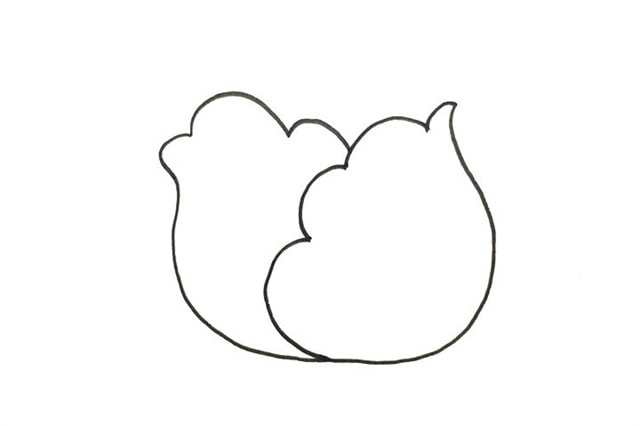 蔬菜簡筆畫卷心菜怎么畫