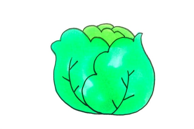 蔬菜簡筆畫卷心菜怎么畫
