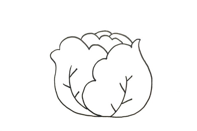 蔬菜簡筆畫卷心菜怎么畫