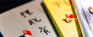 無黨派人士是什么意思