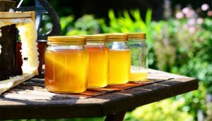 便秘吃什么好？10種通便食物大比拼