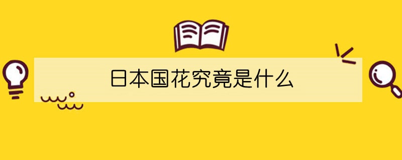 日本國花究竟是什么