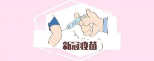 接種疫苗作文400字