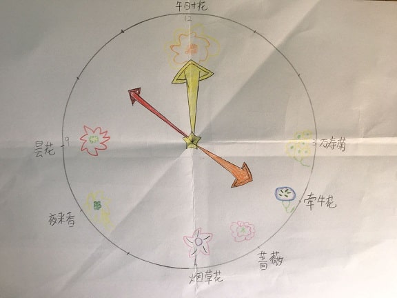 花鐘怎么畫圖片