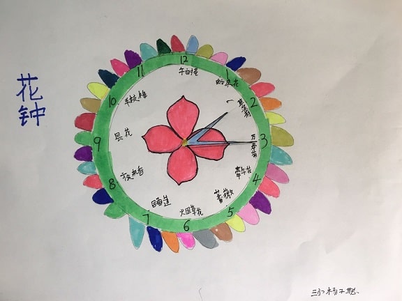 花鐘怎么畫圖片