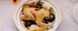 鴿子湯怎么燉好喝又營養(yǎng)