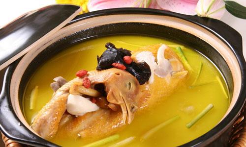 鴿子湯怎么燉好喝又營養(yǎng)