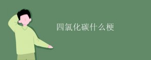 四氯化碳罵人什么梗