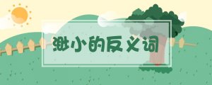 渺小的反義詞是什么