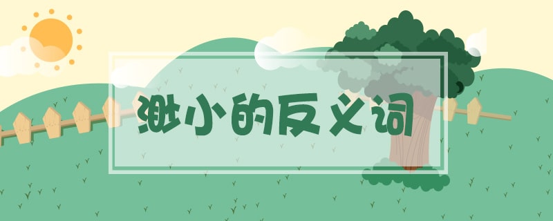 渺小的反義詞是什么