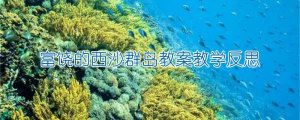 富饒的西沙群島教案教學(xué)反思