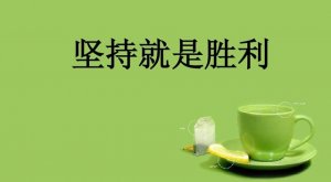 堅(jiān)持就是勝利作文450字
