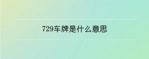 729車牌是什么意思