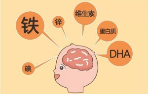 寶寶大腦發(fā)育吃什么好