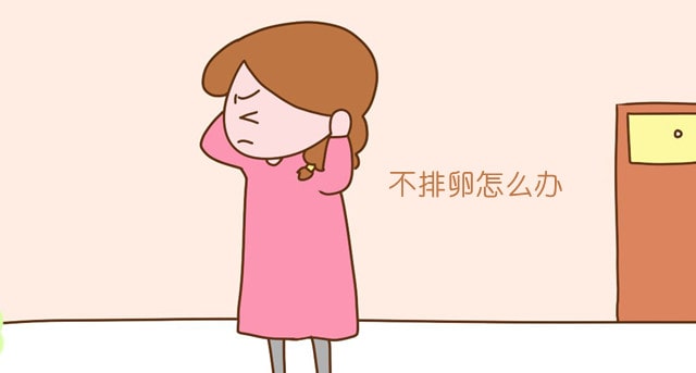 不排卵能懷孕嗎