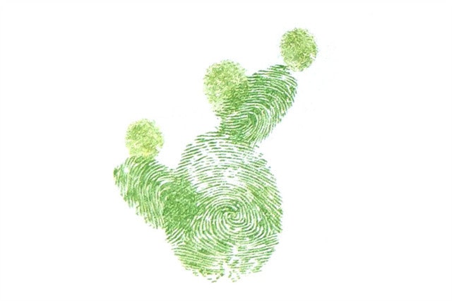 簡(jiǎn)單的仙人掌手指畫(huà)畫(huà)法步驟