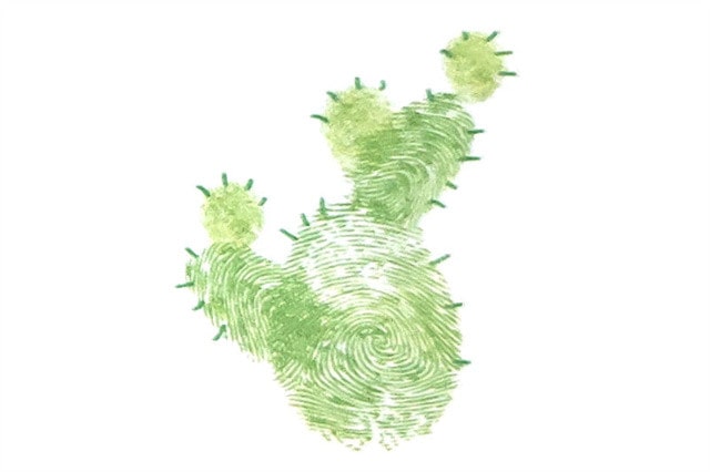 簡(jiǎn)單的仙人掌手指畫(huà)畫(huà)法步驟