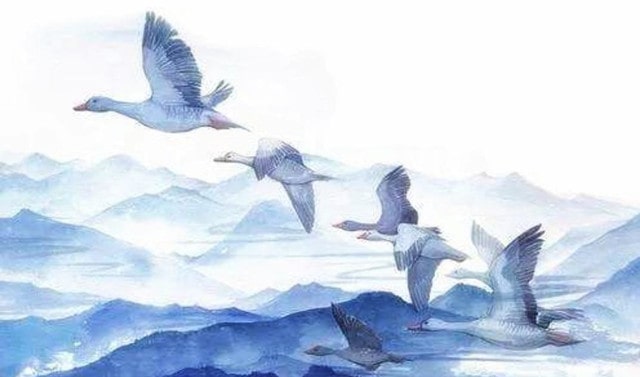 元好問(wèn)摸魚(yú)兒雁丘詞帶拼音版