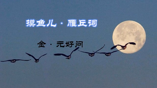元好問(wèn)摸魚(yú)兒雁丘詞帶拼音版