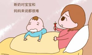 斷奶準(zhǔn)備 斷奶方法