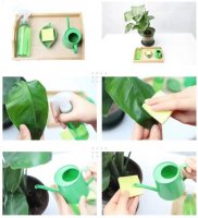 早教親子游戲「照顧植物」