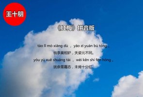 紅梅王十朋古詩(shī)帶拼音版