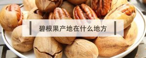 碧根果產(chǎn)地在什么地方