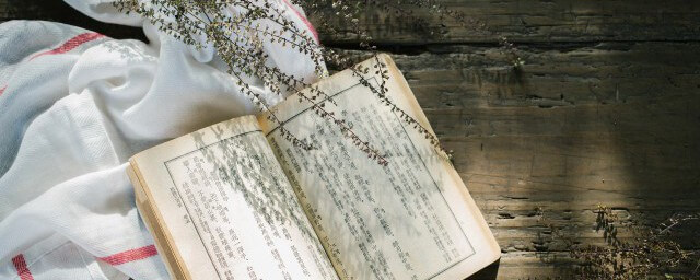 叔本華最經(jīng)典的一本書