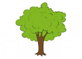 茂密的大樹簡(jiǎn)筆畫怎么畫圖片