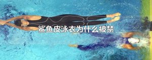 鯊魚皮泳衣為什么被禁