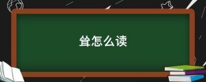 聳怎么讀拼音