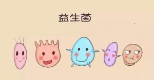 益生菌包治便秘嗎？