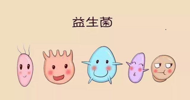 益生菌包治便秘嗎？