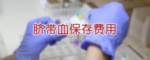 臍帶血保存費用