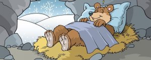 10種冬眠的動(dòng)物