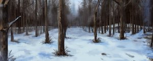 林海雪原作者是誰