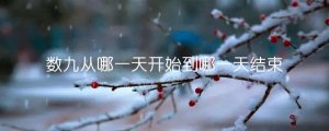 數(shù)九從哪一天開始到哪一天結(jié)束